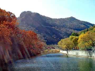 管家婆免费正版资起大全，佛山至山东物流